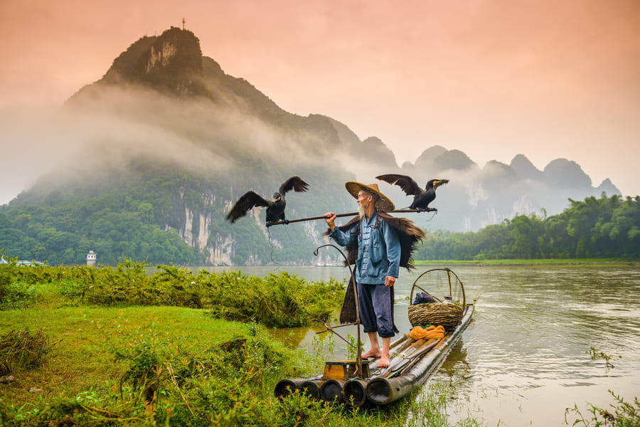 Un pescador cormoran, parado sobre su balsa en un rio de Yangshuo con unas montañas de fondo